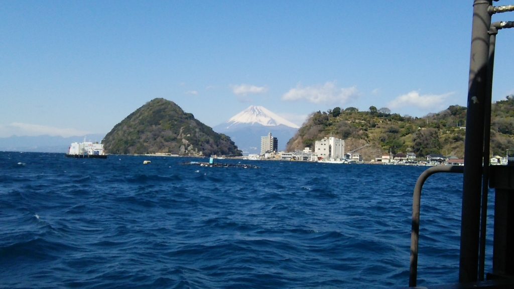 千鳥観光汽船からの富士2