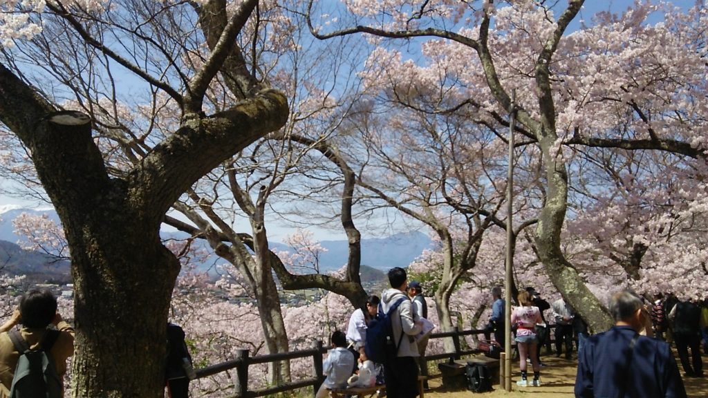 高遠城アイキャッチ