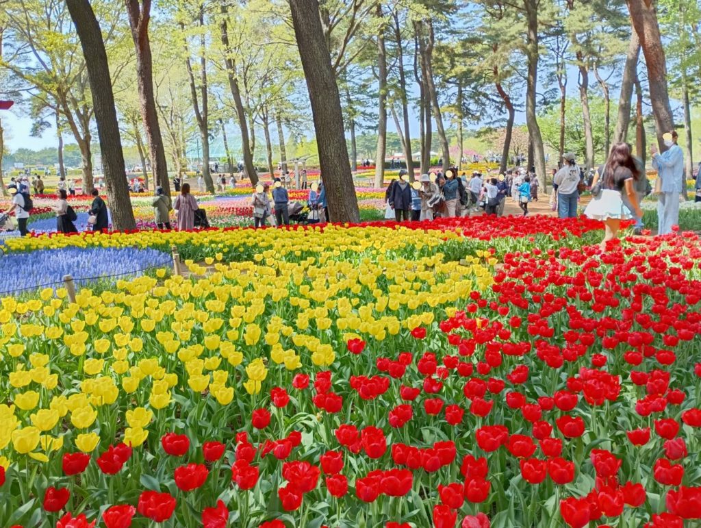 ひたち海浜公園1