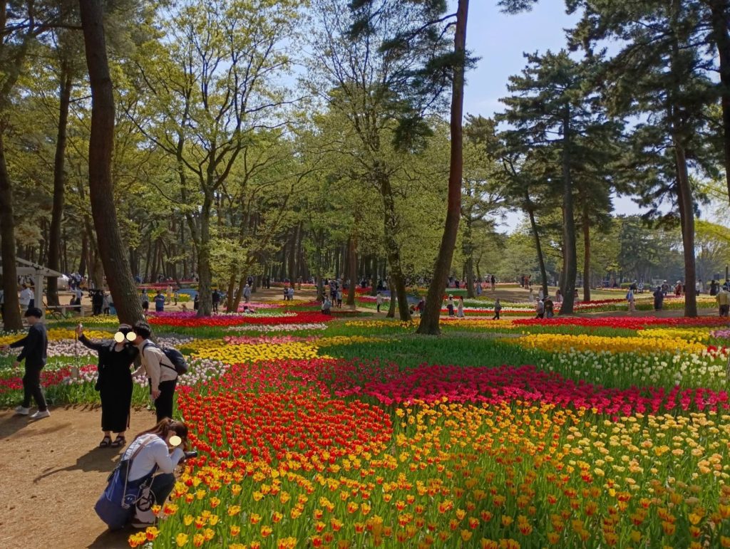 ひたち海浜公園2