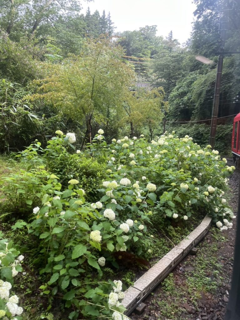 2 当日 箱根登山鉄道