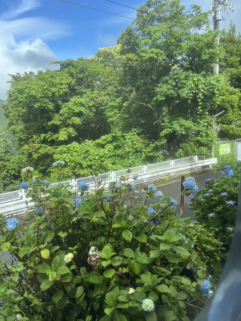 3 当日 箱根登山鉄道