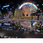 あしかがフラワーパークイルミ1