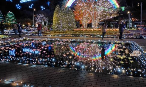 あしかがフラワーパークイルミ1