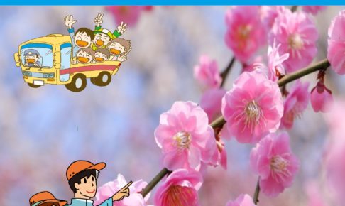 2026ツアースケジュールTOP