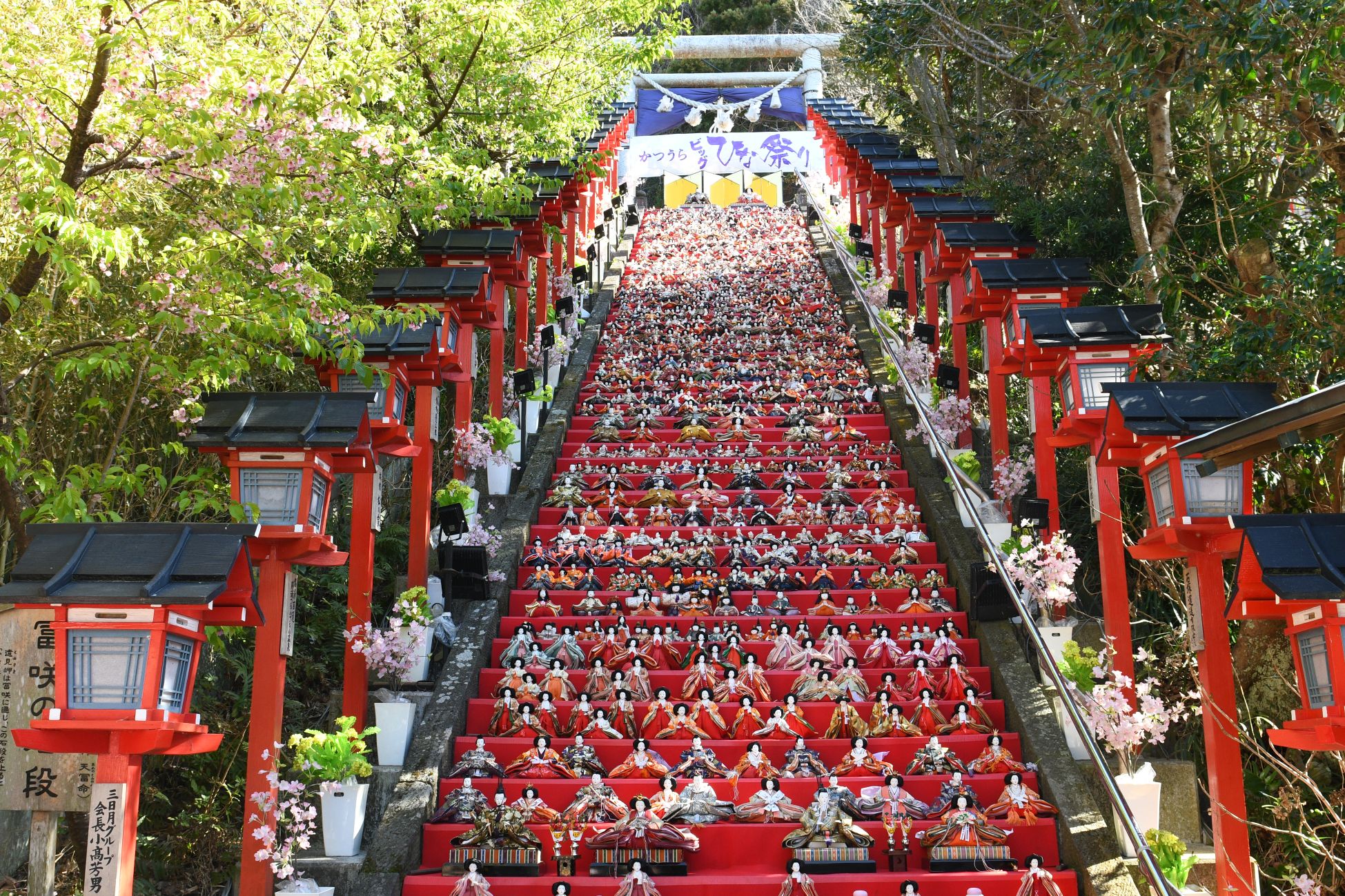 勝浦ひな祭り2024 昼1