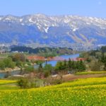 飯山菜の花公園
