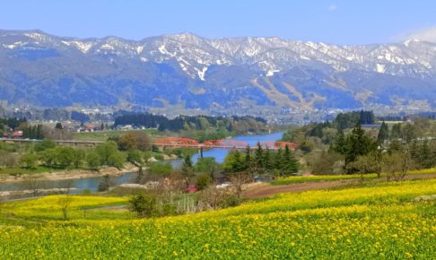 飯山菜の花公園