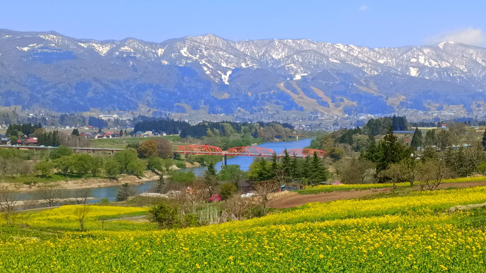飯山菜の花公園