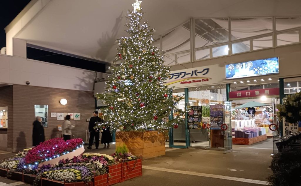 20251223あしかがフラワーパーク1