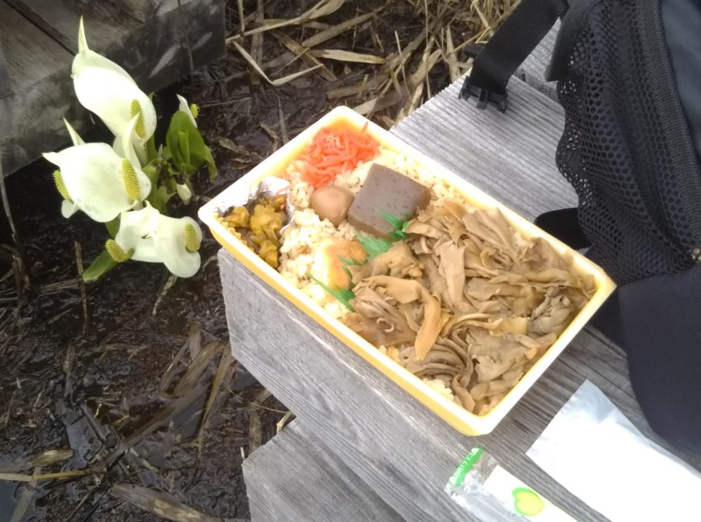 尾瀬　お弁当