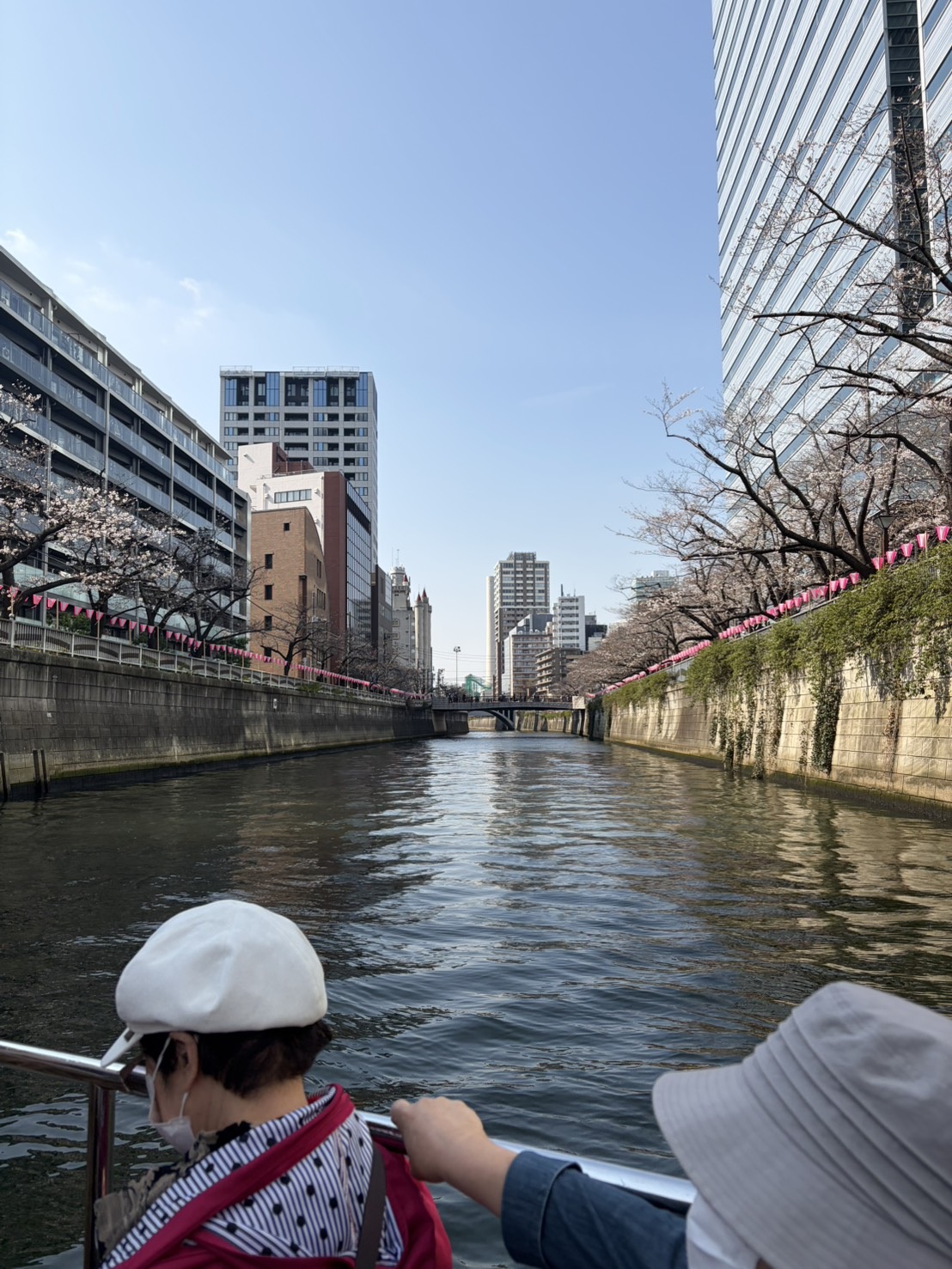 目黒川桜クルーズ